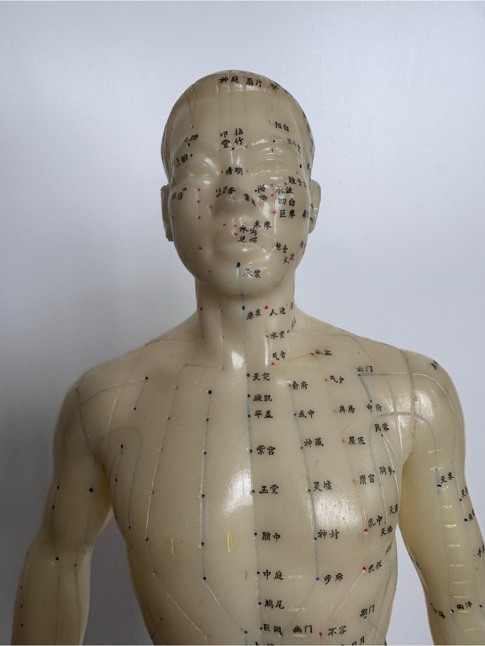 Vintage Acupuncture Model Nude Male Rubber Dummy w Vintage Avon Book - Picture 8 of 12